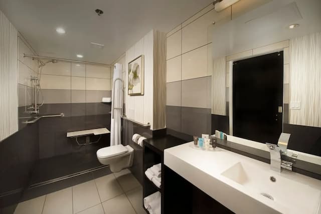 Skybridge Seattle Airport Hotel-Room, 1 King Bed-3