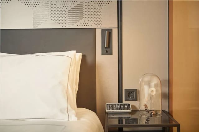 馮德爾公園廣場酒店-高級客房, 1 張加大雙人床-2