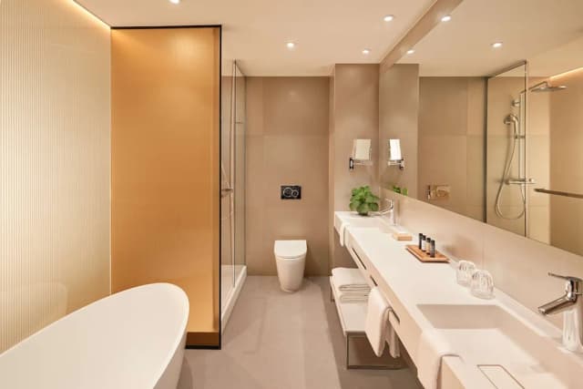 馮德爾公園廣場酒店-普通套房, 1 張特大雙人床-6