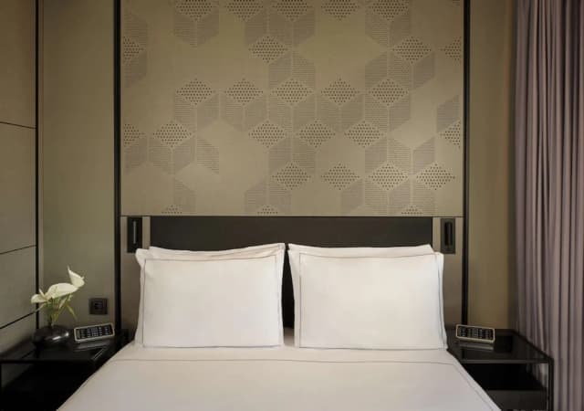 馮德爾公園廣場酒店-客房, 1 張標準雙人床 (1 Double)-4