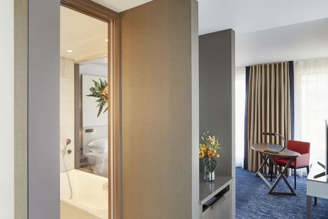 阿姆斯特丹凱悅飯店-Deluxe King Bed - Club Access-3