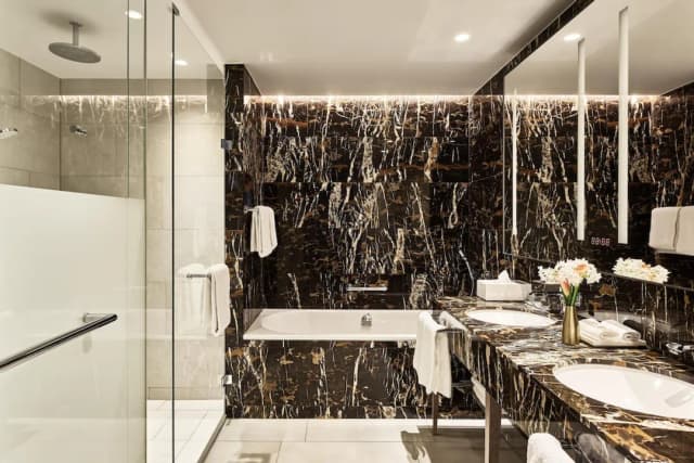 阿姆斯特丹凱悅飯店-Ambassador Suite-5