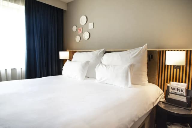 阿姆斯特丹佩斯塔納河畔酒店-Classic Studio-2