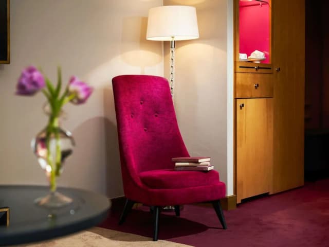 索菲特傳奇阿姆斯特丹大酒店-普通套房, 1 張特大雙人床 (View)-6