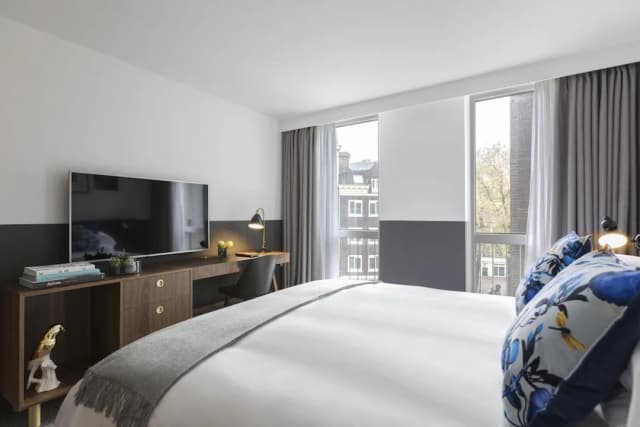 Kimpton De Witt Amsterdam by IHG-客房, 1 张特大床 (Essential)-3
