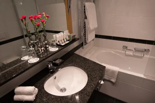 阿姆斯特丹瑞士酒店-Swiss, 客房, 1 張標準雙人床-4