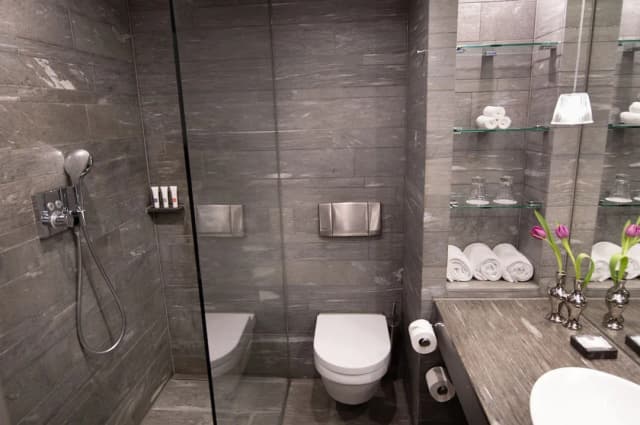 阿姆斯特丹瑞士酒店-Swiss, 客房, 1 張標準雙人床-5