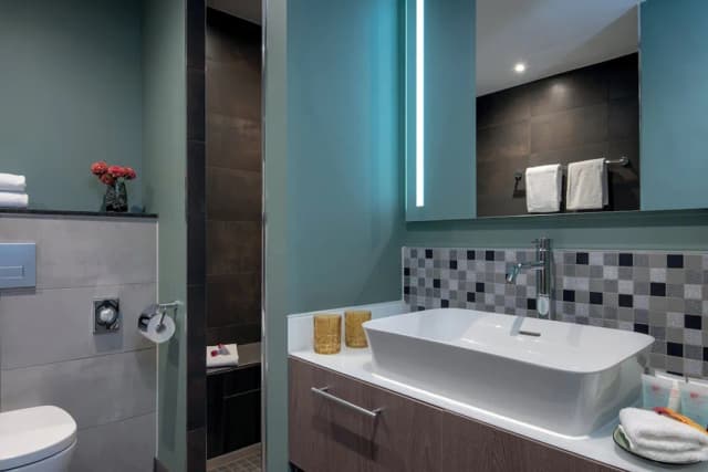 レオナルド ロイヤル ホテル アムステルダム-デラックス ルーム キングベッド 1 台 (Upper Floor)-5