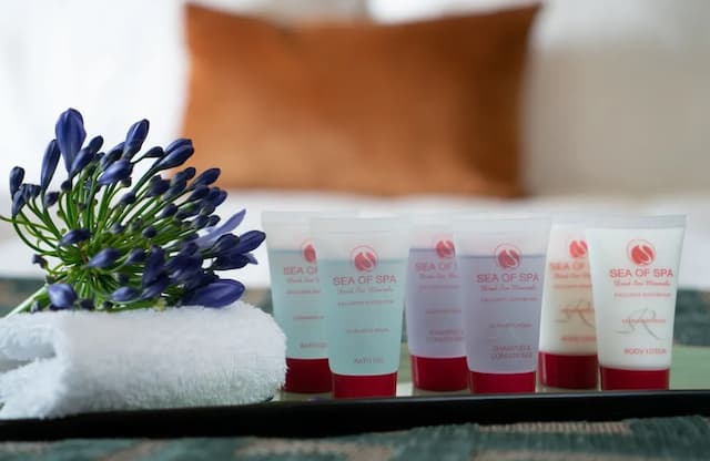 阿姆斯特丹萊昂納多皇家飯店-Comfort Accessible Room-2