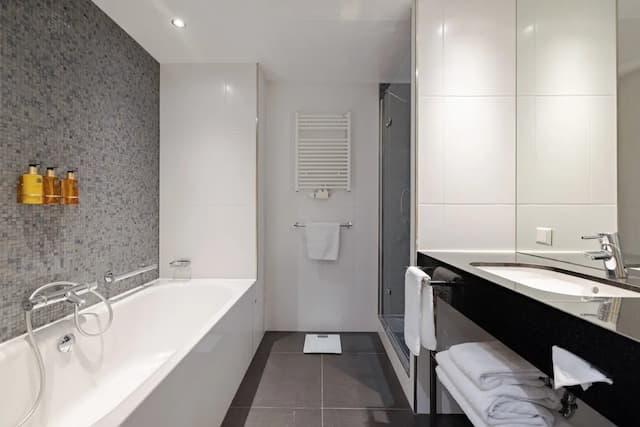 阿姆斯特丹南皇冠假日酒店 (IHG 旗下酒店)-家庭套房, 1 間臥室-6