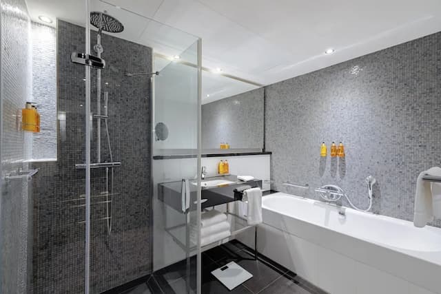 阿姆斯特丹南皇冠假日酒店 (IHG 旗下酒店)-家庭套房, 1 間臥室-1