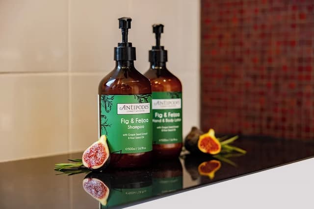 阿姆斯特丹南皇冠假日酒店 (IHG 旗下酒店)-標準客房, 1 張特大雙人床 (High Floor)-5