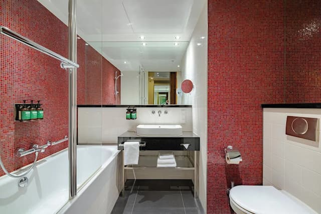 阿姆斯特丹南皇冠假日酒店 (IHG 旗下酒店)-標準客房, 1 張特大雙人床 (High Floor)-6