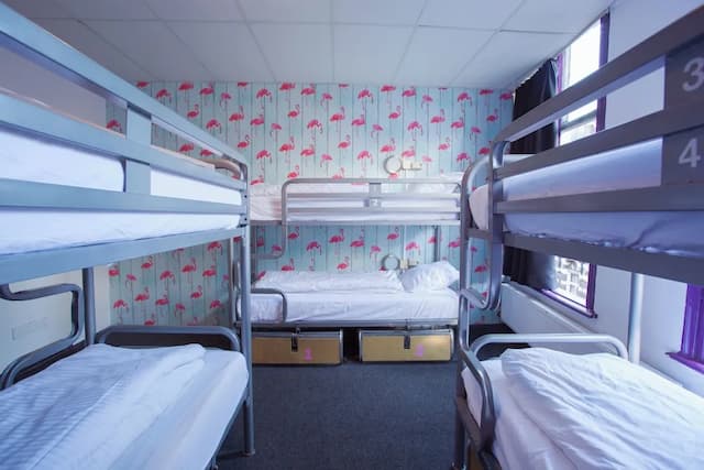 阿姆斯特丹飛天豬市區青年旅館-Single Bed in a 6-Bed Ensuite Female Only-3