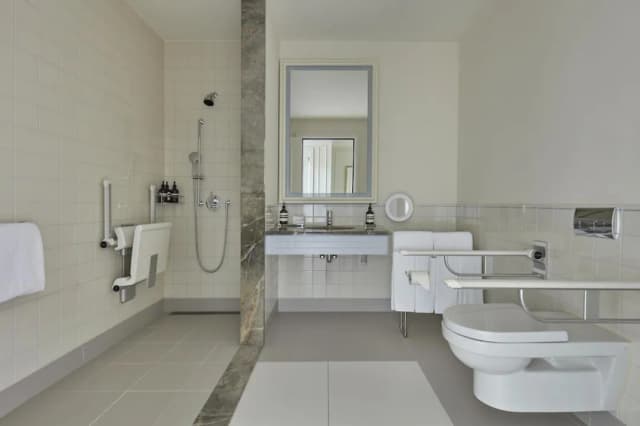 Waldorf Astoria Amsterdam-高级房, 1 张特大床, 无障碍-5