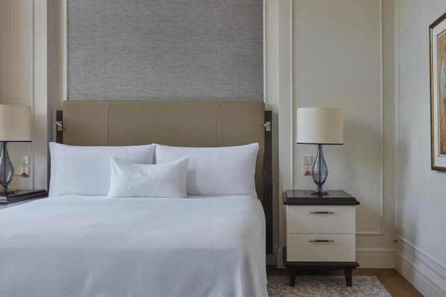 Waldorf Astoria Amsterdam-高级房, 1 张特大床, 无障碍-2