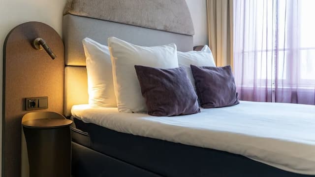 阿姆斯特丹市中心阿爾布斯精品酒店-標準客房, 1 張加大雙人床-1