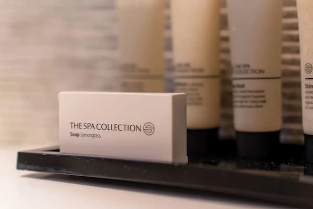 阿姆斯特丹市中心阿爾布斯精品酒店-高級雙人房-3