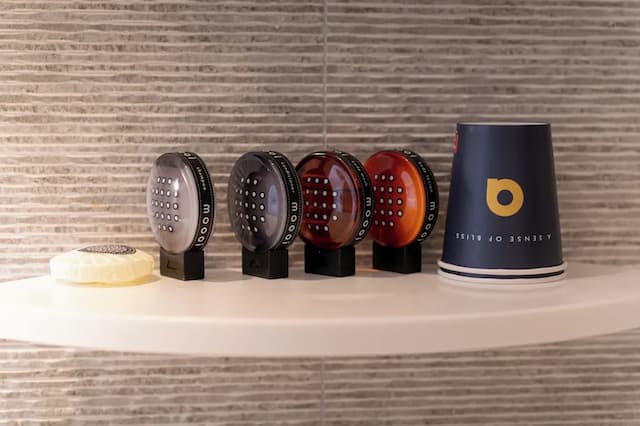 阿姆斯特丹市中心阿爾布斯精品酒店-家庭套房, 1 張特大雙人床及 1 張梳化床-3