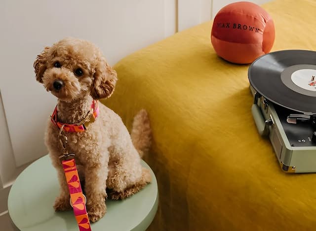 運河區馬克斯布朗飯店 - Sircle Collection 旗下-Tiny room-2