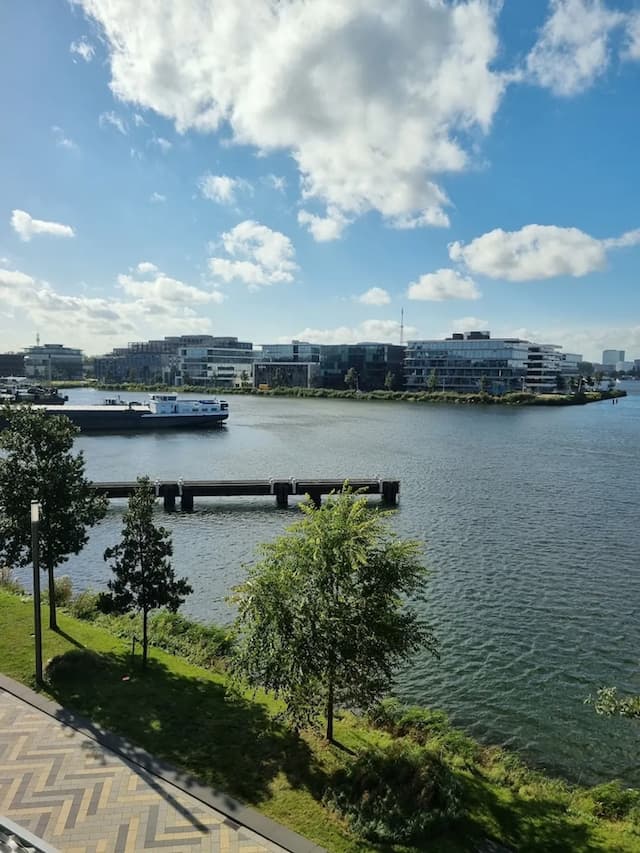 阿姆斯特丹霍塔文斯萬豪長住酒店-套房, 1 張加大雙人床, 海港景-5