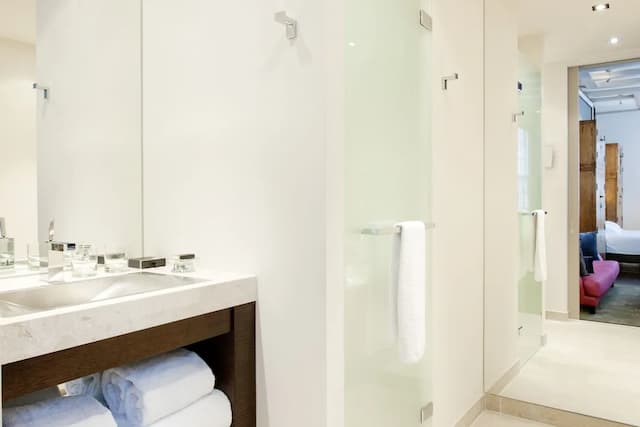 狄倫阿姆斯特丹酒店-奢華套房, 花園景-11