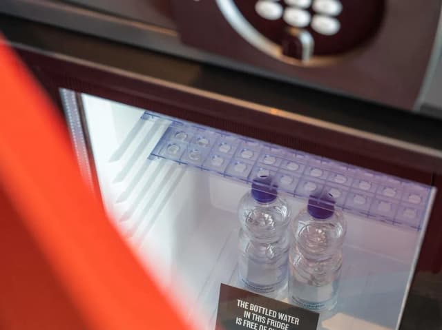 Amsterdam Tribe City 飯店-豪華四人房, 1 張標準雙人床和 1 張沙發床-6