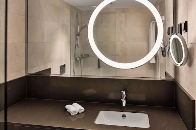 Hilton Vienna Park-Premium Room, 2 Twin Beds (Panorama)-12