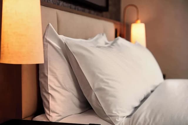 Hilton Vienna Park-Premium Room, 2 Twin Beds, Park View-2