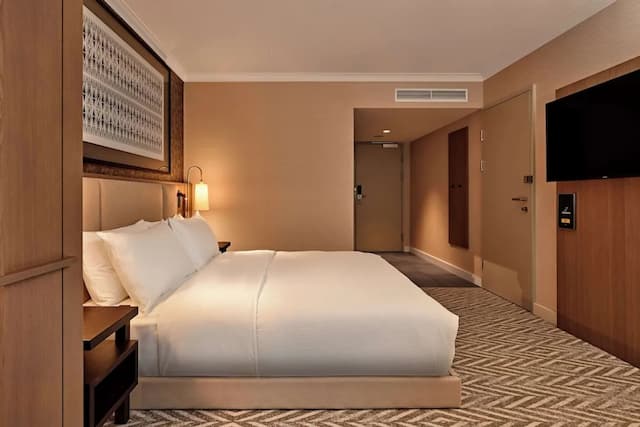 Hilton Vienna Park-Room, 1 King Bed, Accessible (Roll-In Shower)-1