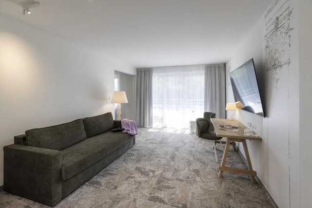 維也納阿克泰爾凱瑟瓦莎雅高酒店-普通套房-1