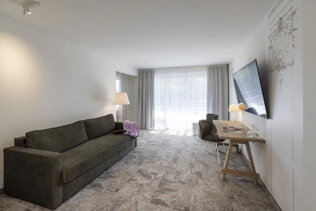 維也納阿克泰爾凱瑟瓦莎雅高酒店-普通套房-4