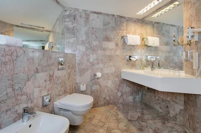 維也納阿克泰爾凱瑟瓦莎雅高酒店-普通套房-9