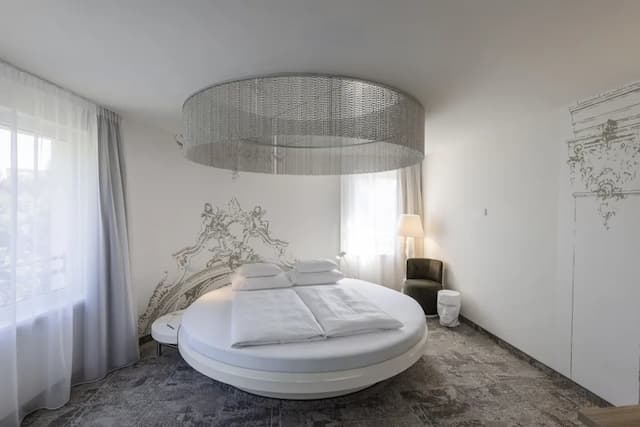 維也納阿克泰爾凱瑟瓦莎雅高酒店-普通套房-5