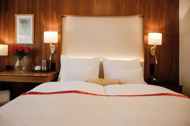 斯泰法尼飯店-經典雙人房-9