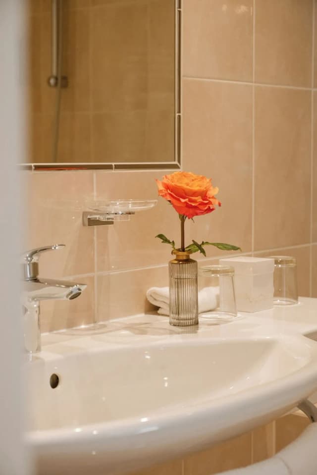 斯泰法尼飯店-經典雙人房-18