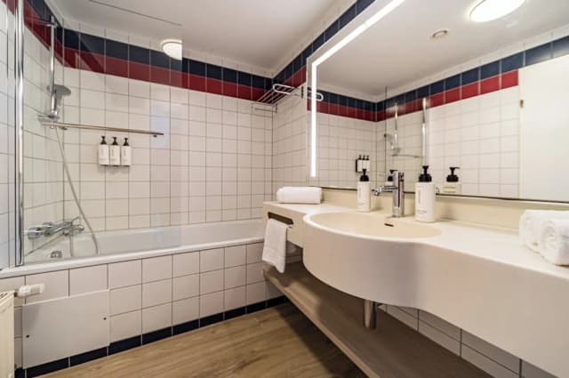 보코 비엔나 프라터 바이 IHG-스탠다드룸, 더블침대 1개 (Bath/Shower Combo)-7