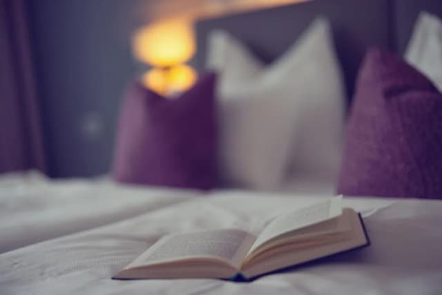 維也納普拉特爾客房飯店-雙人房 (Style Panorama)-3