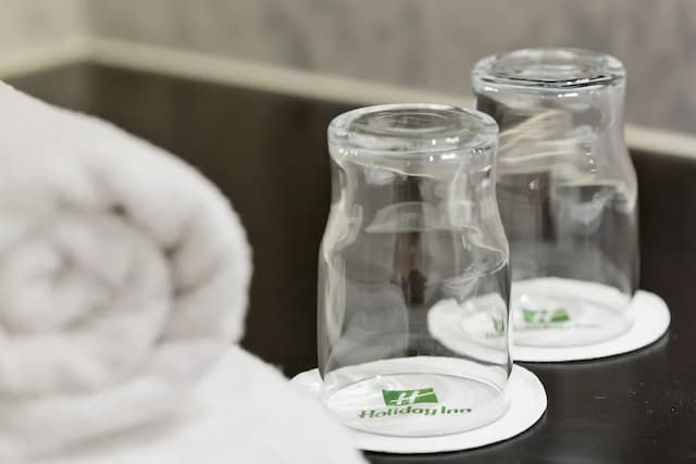 維也納市假日飯店 - IHG 旗下飯店-標準客房, 1 張加大雙人床-7