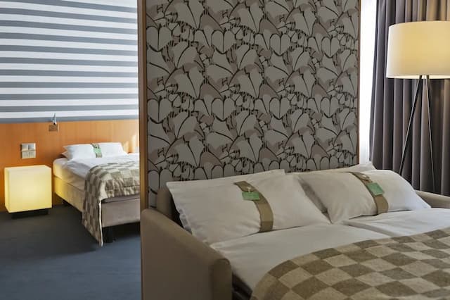 維也納市假日飯店 - IHG 旗下飯店-套房, 1 張特大雙人床和 1 張沙發床-1