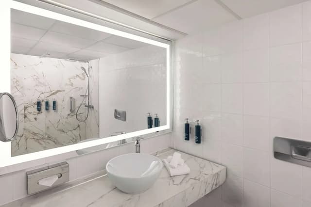 ヒルトン ウィーン ウォーターフロント-ルーム キングベッド 1 台 (Waterfront)-6