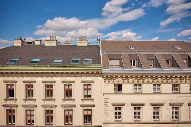 維也納麗思卡爾頓飯店-套房, 1 張特大雙人床 (View)-5