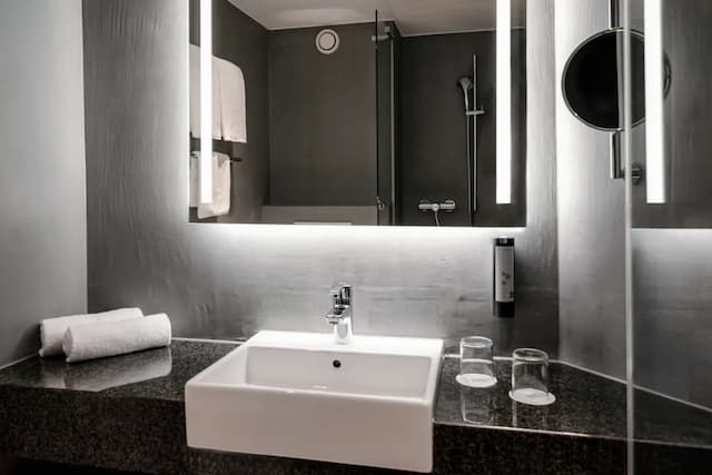 維也納施泰根博閣城際飯店-標準雙床房-3