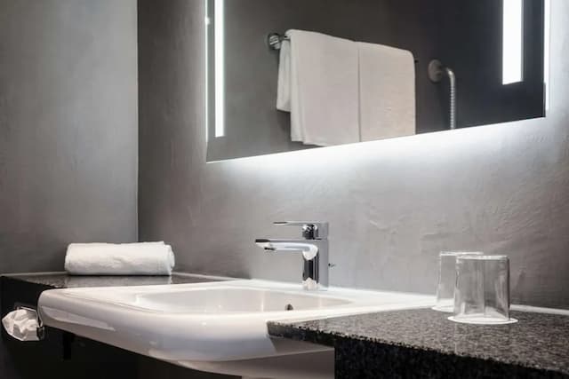 維也納施泰根博閣城際飯店-高級雙床房-5