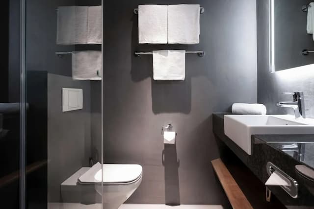 維也納施泰根博閣城際飯店-高級雙人房-3