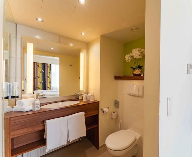 플라자 프리미엄 비엔-스위트-10