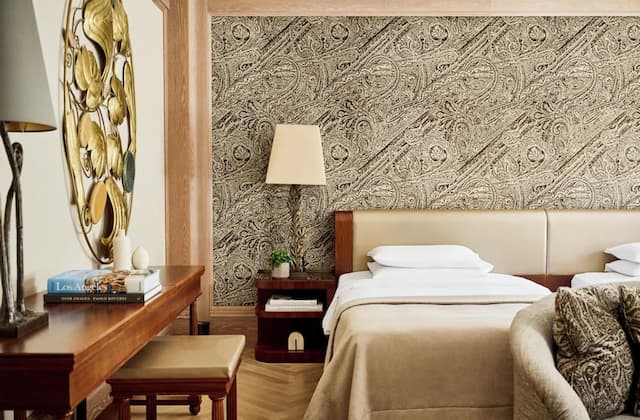 維也納柏悅酒店-豪華客房, 2 張單人床-3