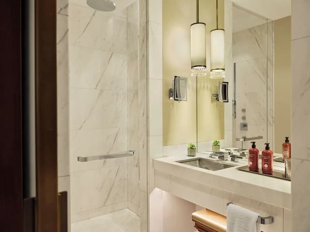 維也納柏悅酒店-客房, 2 張單人床-3