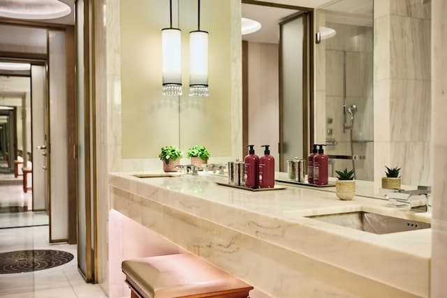 維也納柏悅酒店-豪華客房, 2 張單人床, 城市景觀-4