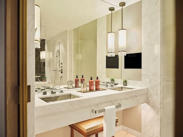 維也納柏悅酒店-普通套房, 1 張特大雙人床-3